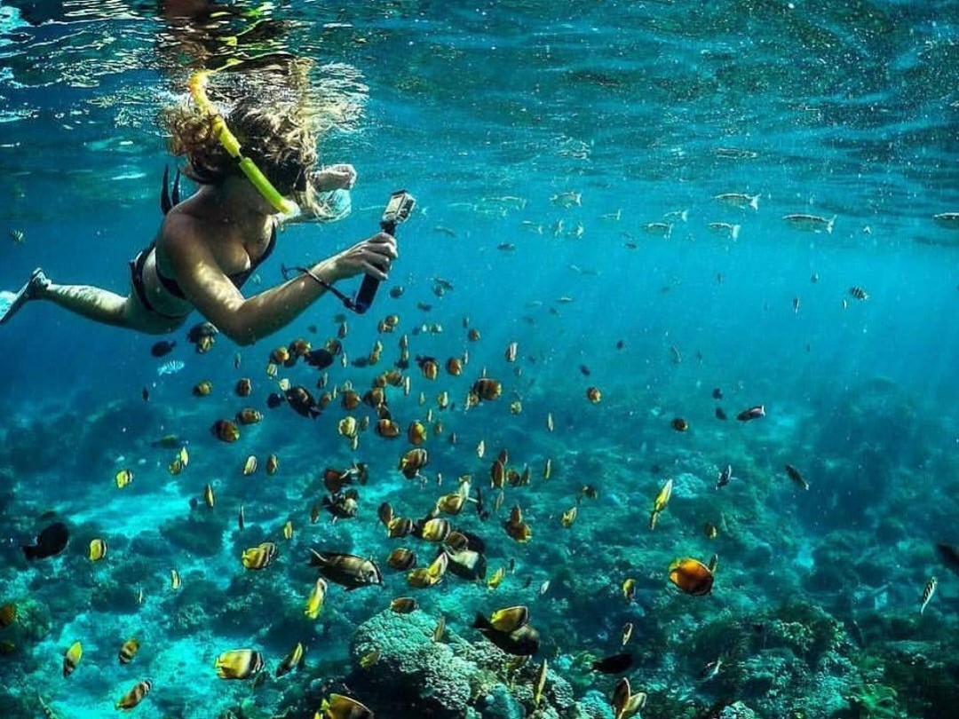 wall point snorkeling